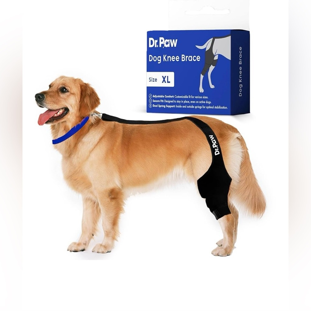 Dr. Paw Dog Knee Brace Torn ACL Hind Leg XL NEW